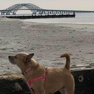 Meet your Posher, Drew